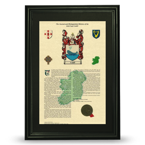 11"x17" H&C Irish Sept Armorial History and Coat of Arms Free Continental U.S. S&H