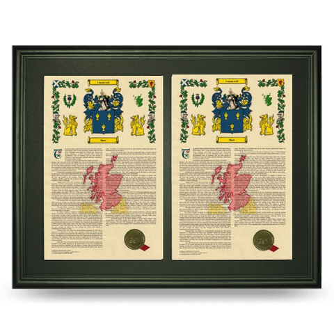 22.75" x 28" H&C Double Armorial History Framed  DBL COA Free Continental U.S. S&H