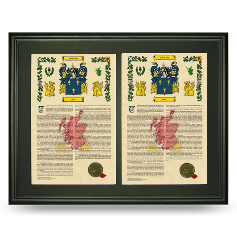 22.75" x 28" H&C Double Armorial History Framed Free Continental U.S. S&H