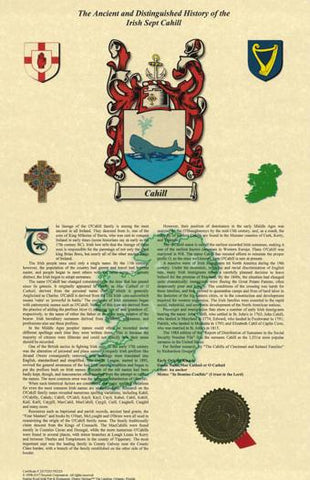 11"x17" H&C Irish Sept Armorial History and Coat of Arms Free Continental U.S. S&H